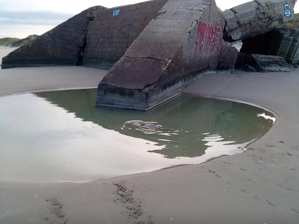 Joe Cocker Apartment Dunkirk Exterior foto